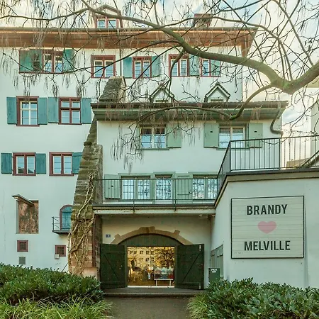 Villa Airstay Switzerland Luxury Basel