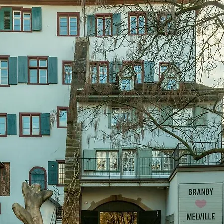 Villa Airstay Switzerland Luxury Basel